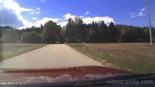 Aus dem Wald Richtung Affaltern