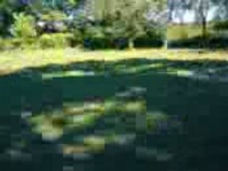 Water jump