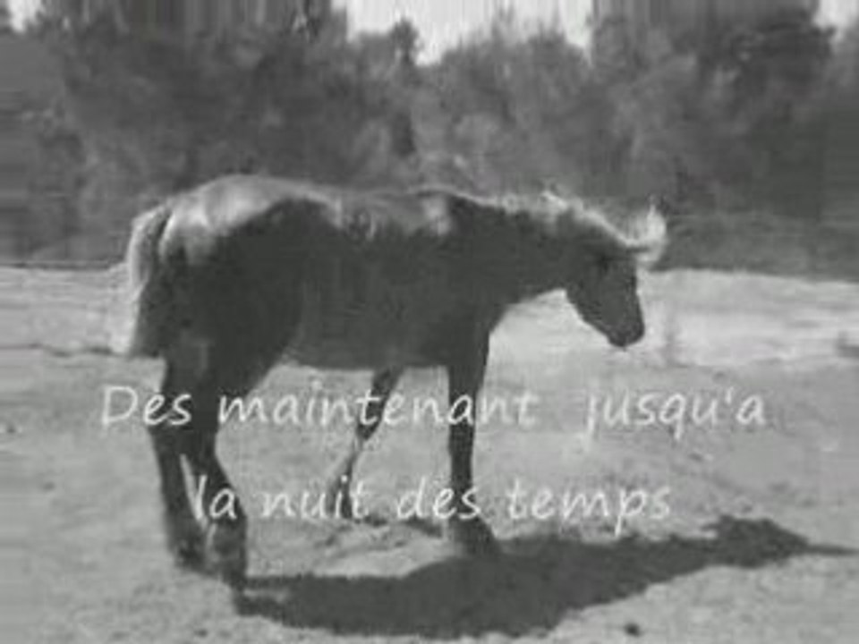 Tu vis dans mon Coeur