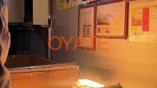 225mm 230v 1100w Halogen Heat Lamp Quartz Infrared Heater Parts for Plastic Drying