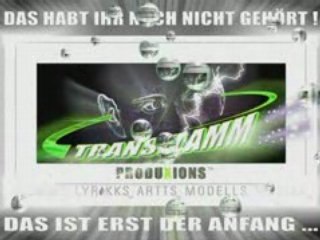 DRAGONMODELL-TRANSFLAMM TT2_ INTERNATIONALL_ +