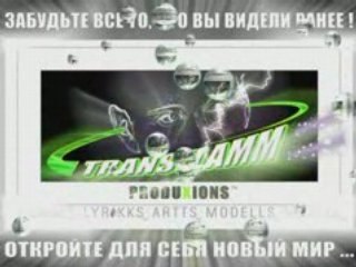 DRAGONMODELL-TRANSFLAMM TT3_ INTERNATIONALL_+