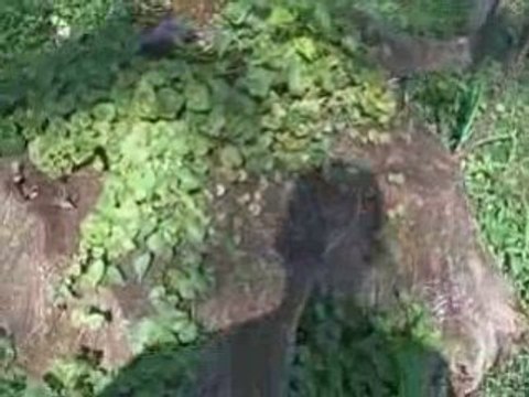 Zach Even - Esh's Underground Strength Show - Episode 4