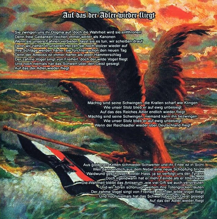 Stahlgewitter - auf das der adler wieder fliegt