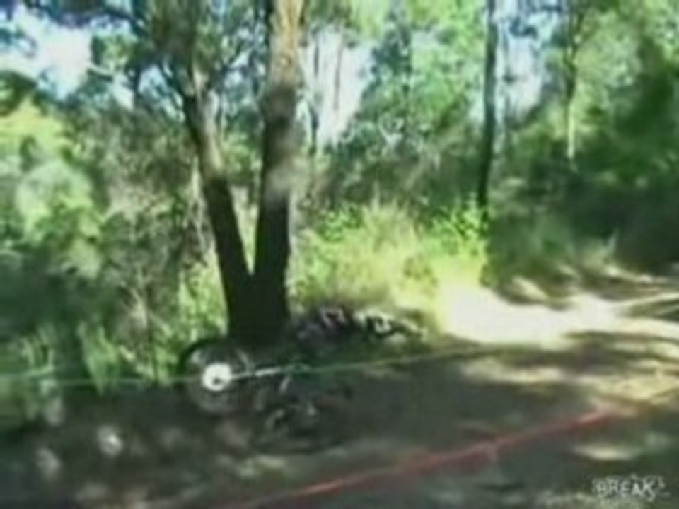 Biker Slams Head First Into Tree