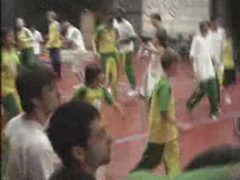 Danse Afro
