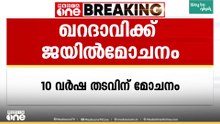 കവി അബ്ദുറഹ്മാൻ യൂസഫ് അൽ ഖറദാവിക്ക് മാപ്പ് നൽകി യുഎഇ പ്രസിഡന്റ്; 10 വർഷ തടവിന് മോചനം