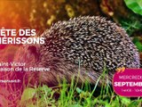Agenda des Sorties du 7 au 13 septembre 2026