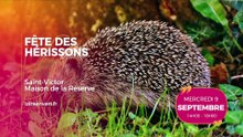 Agenda des Sorties du 7 au 13 septembre 2026