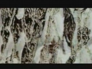 Özcan Deniz - Dön Desem by Aluxton