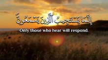 ﴿ إنَّمَا يَستَجِيبُ الَّذِينَ يَسمَعُونَ والمَوتَىٰ يَبعَثُهُمُ اللَّهُ ثُمَّ إلَيْهِ يُرْجَعُونَ ﴾