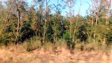 VID_20260901_180153