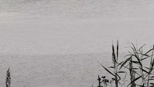 Rain over the lake fighting for the gear