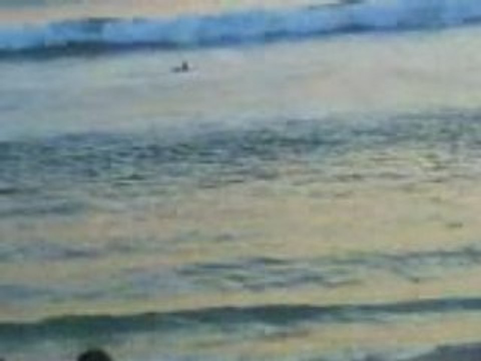 Surf *_*