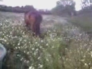 Impérial saut en liberté