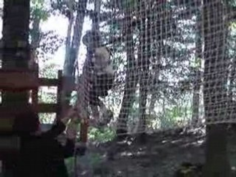 MOV05235