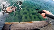穴釣りで水中の穴を餌で探ったら竿がしなる！カサゴ狙いの漁港実釣