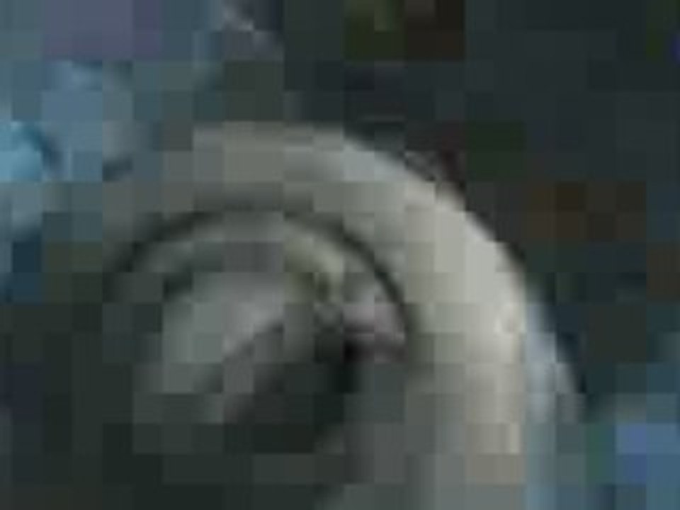 Star Wars The Clone Wars Comic Con http://teaser-trailer.com