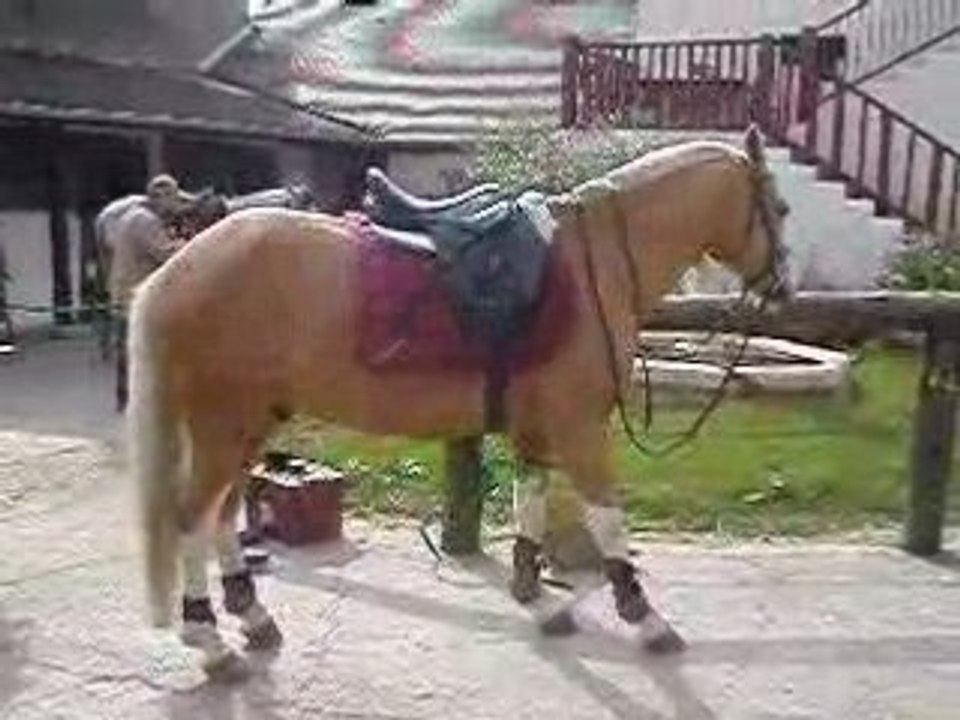 NOrtOn S' Etire