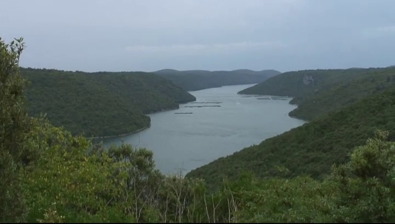 Fjord de Lim