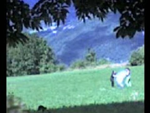 S.O.S For The Jonas Brothers