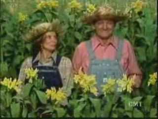 Hee Haw Johnny comedy