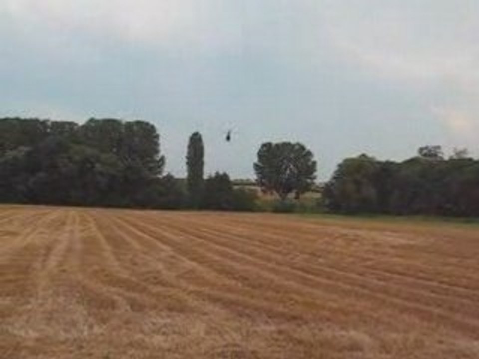 Trex 450 SE V2 - Petite voltige et Apprentissage vol dos