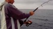 jigging chez yo la pêche seriole de 31kg à toulon