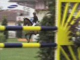 Jumping la baule