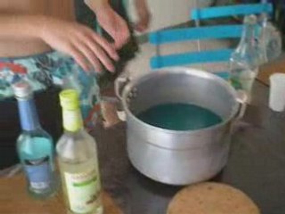 1erepartiedinardvidéo