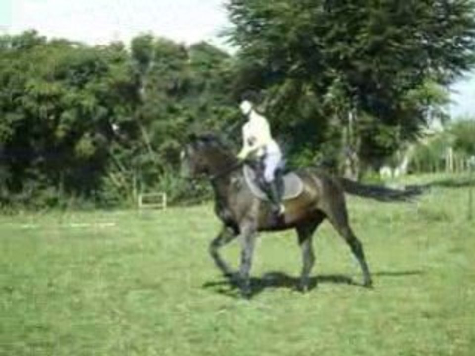 Plouf galop