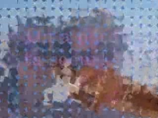 Montage de la journée plage