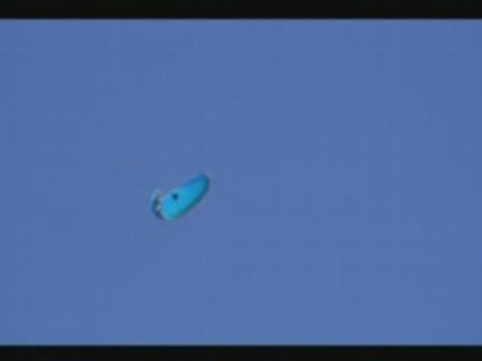 SIV ANNECY 2008 360, AUTOROT, WING