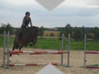 Cour d'obstacle avec lara