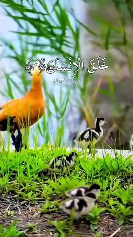 628a3ee7dee0503e88b4990231460444