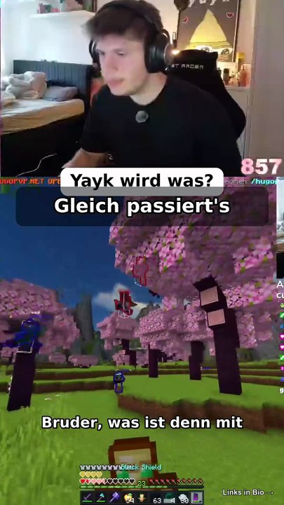 Yayk wird was?