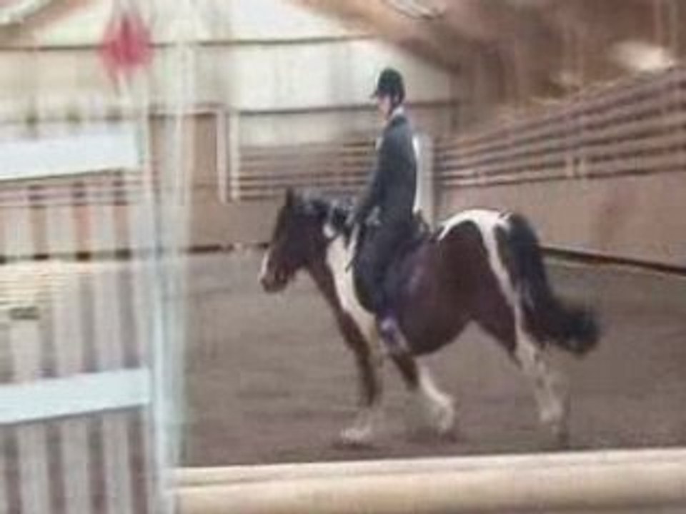 Détente concours poney du 03/02/08 5eme partie