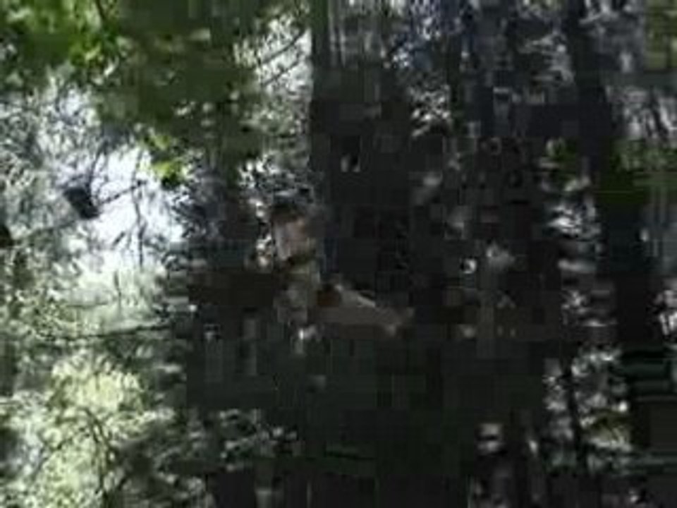 MOV05246