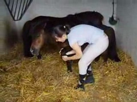 18 Juillet centre aéré ménaret 086