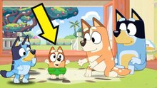 Bingo bebé en la temporada 4 de Bluey: una idea para un episodio retrospectivo