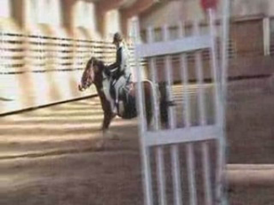 Détente concours poney du 03/02/08 2eme partie