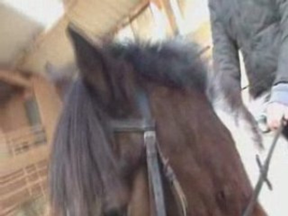 Détente concours poney du 03/02/08 3eme partie