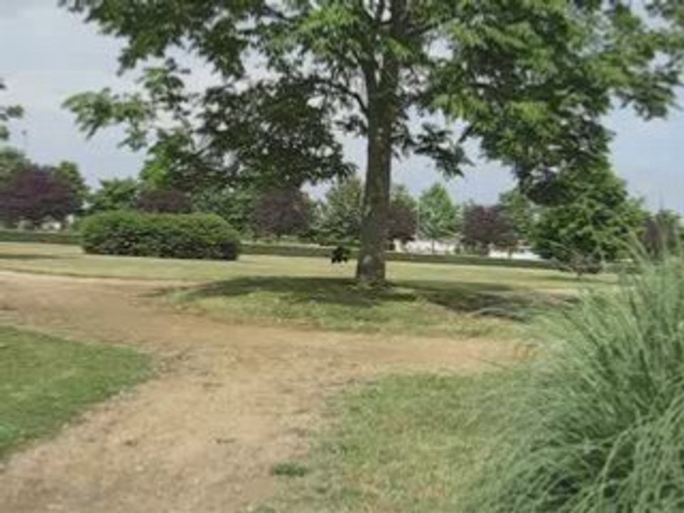 Qui a mis un arbre sur la rampe ?