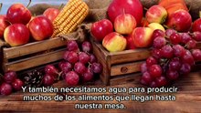 ¿Por qué debemos cuidar el agua_