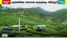 വയനാടിനോട് പ്രിയം കുറഞ്ഞോ?; വയനാട്ടിലേക്കുള്ള വിനോദ സഞ്ചാരികളുടെ ഒഴുക്ക് കുറഞ്ഞു