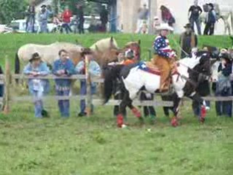 demonstration cheval