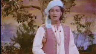 Tum Saiyan Gulab Ke Phool  - Navrang (1959)