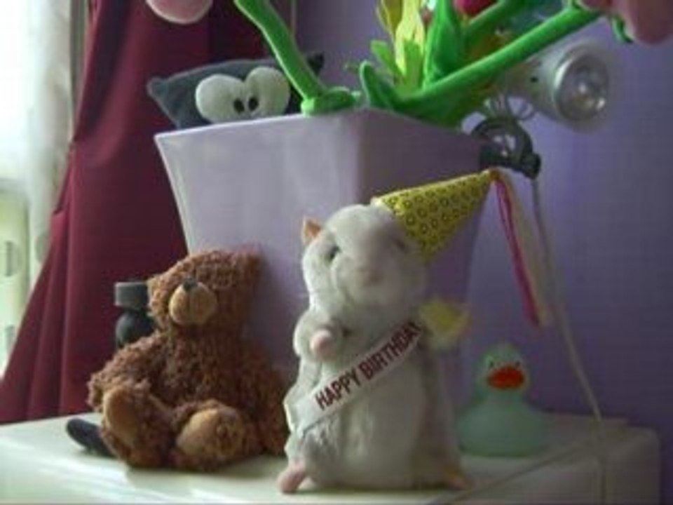 Hamster power