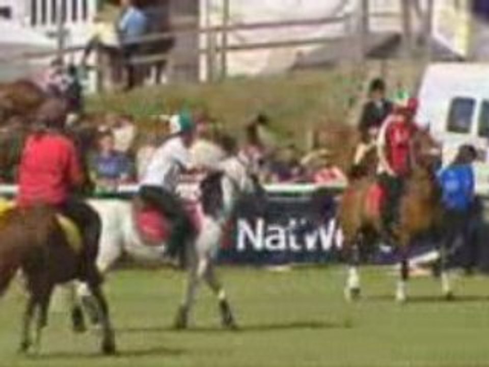 Arall_llun_mountedgames
