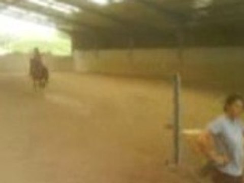 Sauts des poneys et des chevaux du Treuil